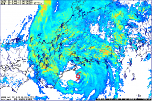 MSM_13_0916_0600風