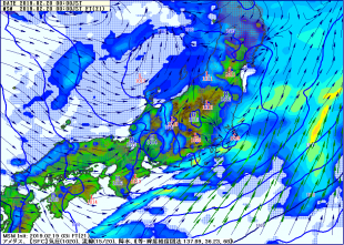 MSM_19_0220_0000chijyou